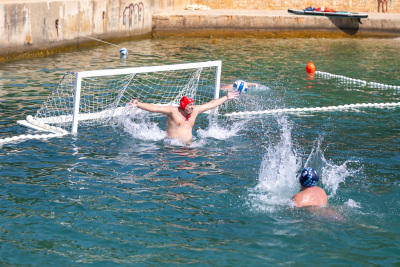 Porečki delfin 2024