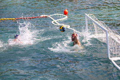 Porečki delfin 2024