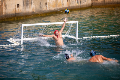 Porečki delfin 2024