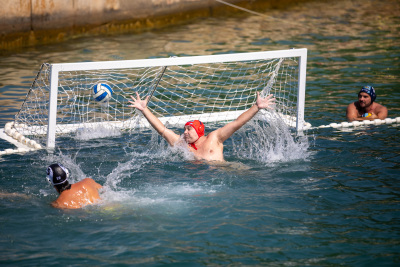 Porečki delfin 2024
