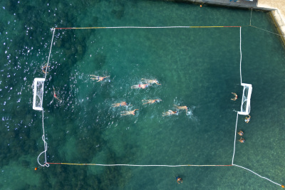 Porečki delfin 2024