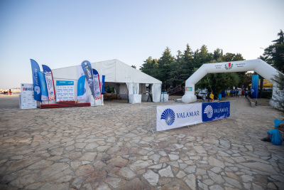 Porečki delfin 2024