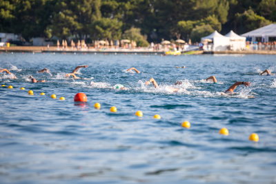 Porečki delfin 2024
