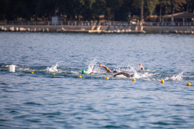 Porečki delfin 2024