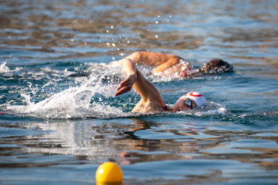 Porečki delfin 2024