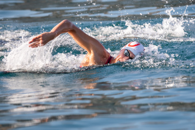 Porečki delfin 2024