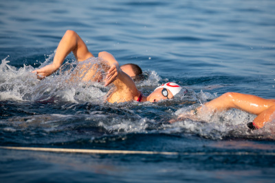 Porečki delfin 2024