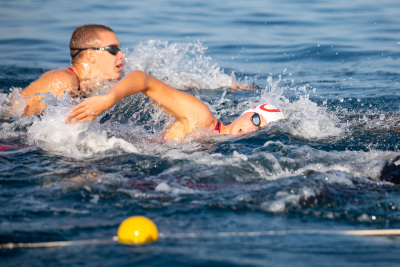 Porečki delfin 2024
