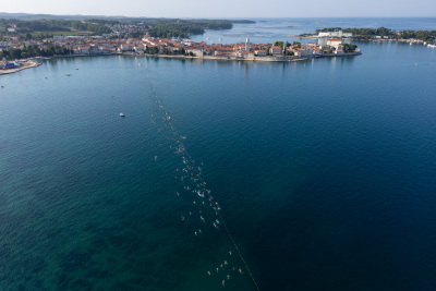 Porečki delfin 2024