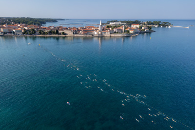 Porečki delfin 2024