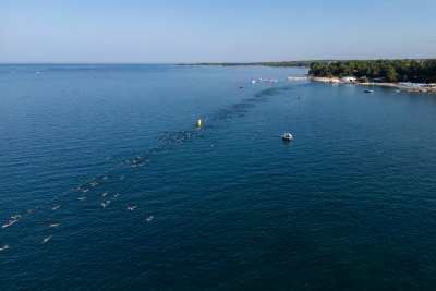 Porečki delfin 2024