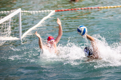 Porečki delfin 2024