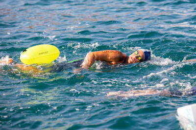 Porečki delfin 2024