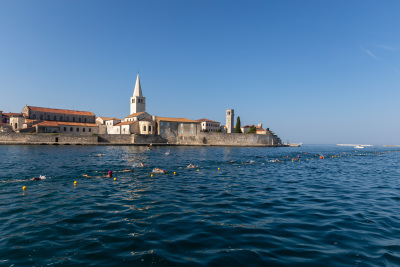 Porečki delfin 2024