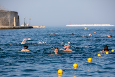Porečki delfin 2024