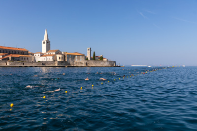 Porečki delfin 2024