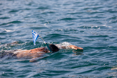 Porečki delfin 2024