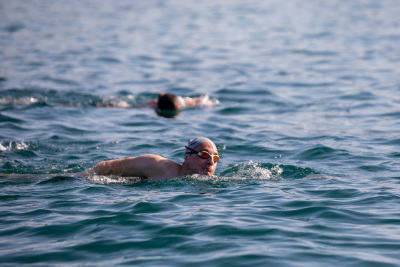 Porečki delfin 2024