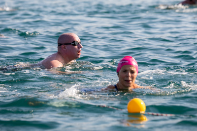 Porečki delfin 2024