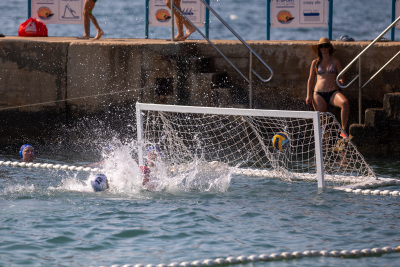Porečki delfin 2024