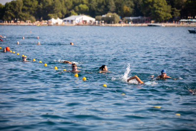 Porečki delfin 2024