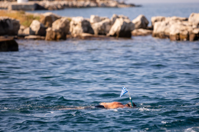 Porečki delfin 2024