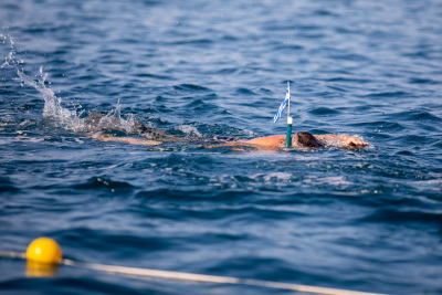 Porečki delfin 2024