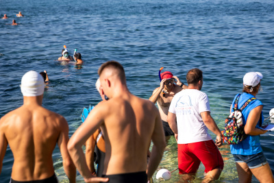 Porečki delfin 2024