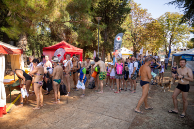 Porečki delfin 2024