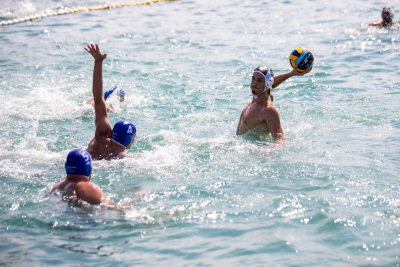 Porečki delfin 2024