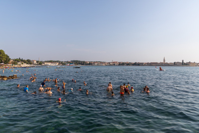 Porečki delfin 2024