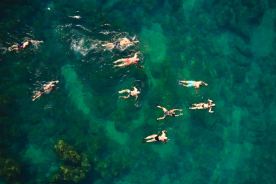 Porečki delfin 2023