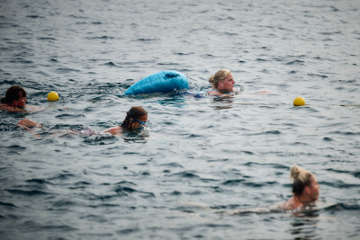 Porečki delfin 2026