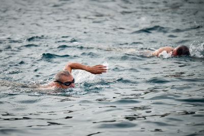 Porečki delfin 2026