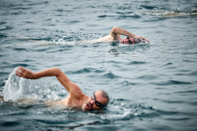 Porečki delfin 2026