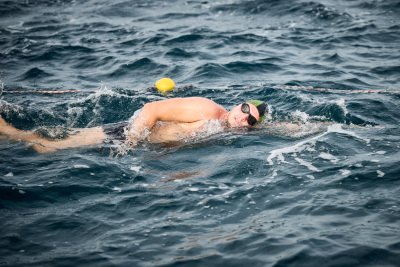 Porečki delfin 2026