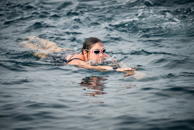 Porečki delfin 2026