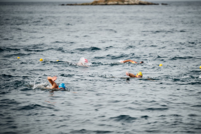 Porečki delfin 2026