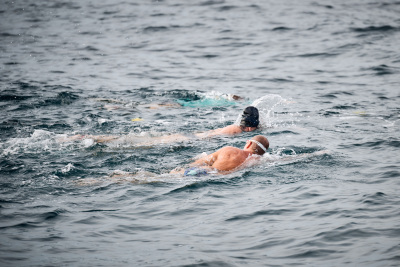 Porečki delfin 2026