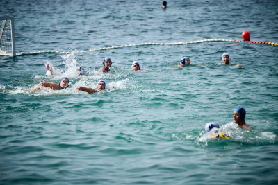 Porečki delfin 2026