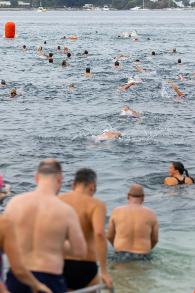 Porečki delfin 2026