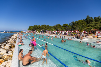 Porečki delfin 2026