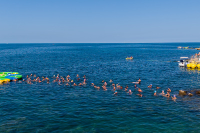 Porečki delfin 2026