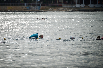 Porečki delfin 2026