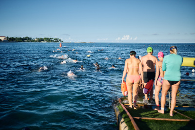 Porečki delfin 2025