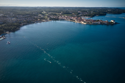 Porečki delfin 2025